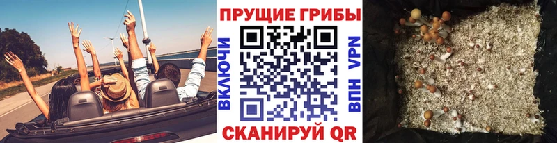 OMG зеркало Красногорск Галлюциногенные грибы мухоморы